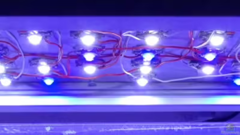 High Power LED von Traum-Hobby.de (10)