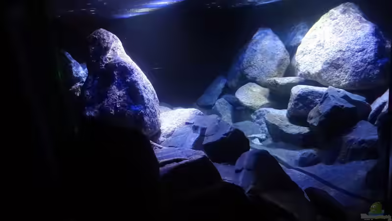 hinten - Spiegelbild von Malawi_Einsteiger (15)