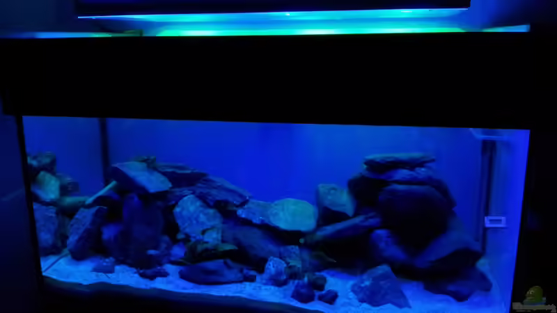 hinten grüne vorn blaue LED von Silvio25 (5)