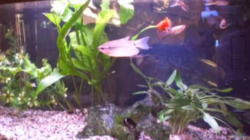 hinten link heizstab, hinten rechts filter von Stefan Georgi (5)