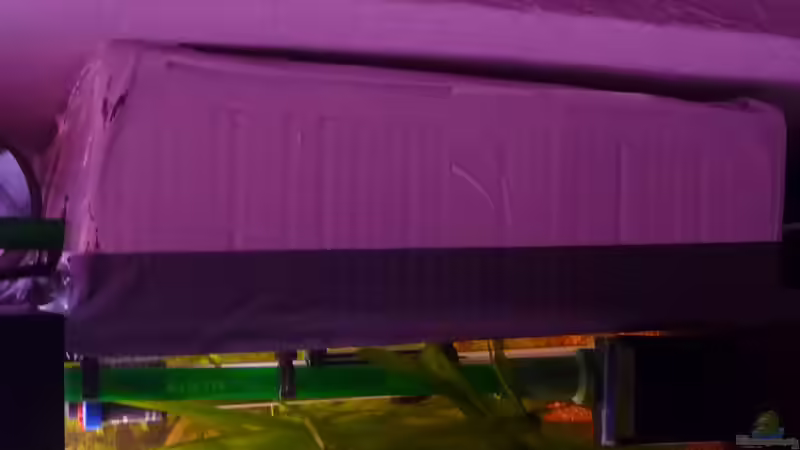 Hinter dem Aquarium von Jan H. (3)