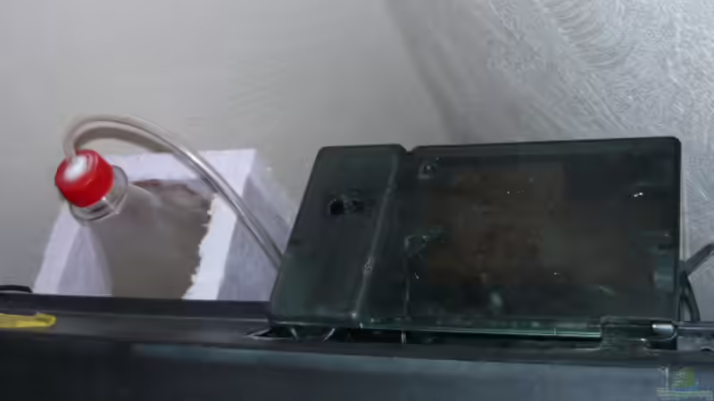 Hinter dem Becken von Wels (15)