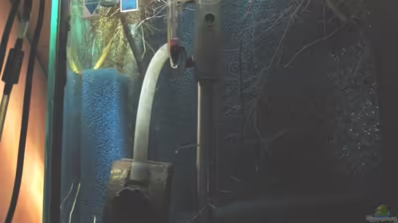 hinter dem HMF im März 2008 von timme (22)