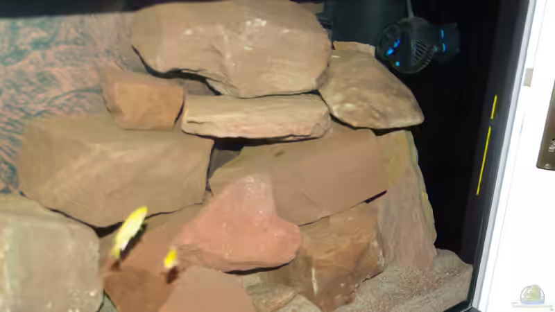 Hinter dem rechten Steinhaufen ist der JBL TopClean installiert von Duder Malawikus (17)