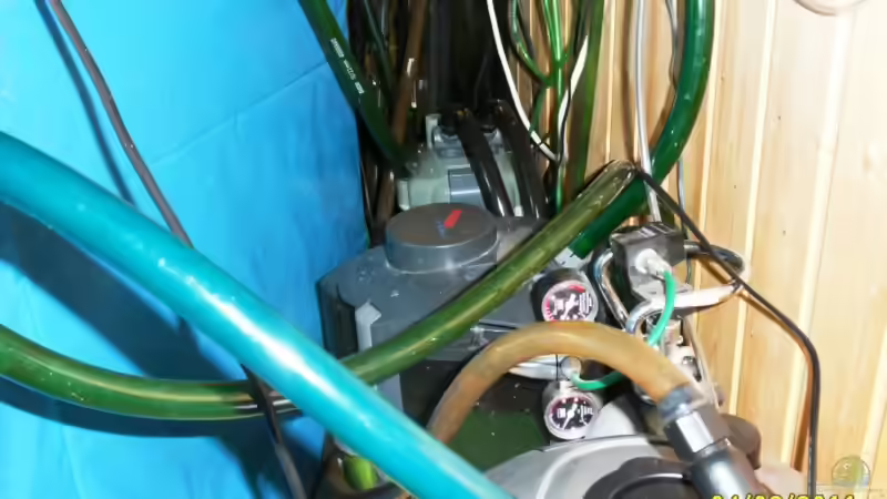 Hinter dem schrägen 900 Liter, 3 Ausenfilter und CO² von Ulrich Sauerhering (63)