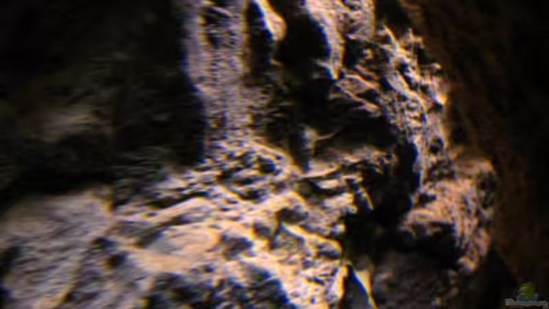 hinter den Steinen von Malawigo (21)