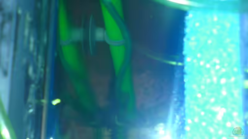 Hinter der Filtermatte, hier ist auch der Heizstab untergebracht. von Pinkie (5)