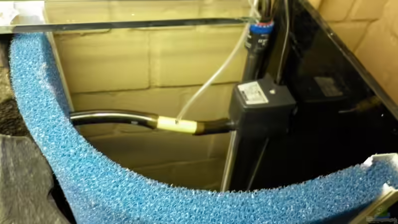 Hinter der Matte... von Julien Preuß (45)