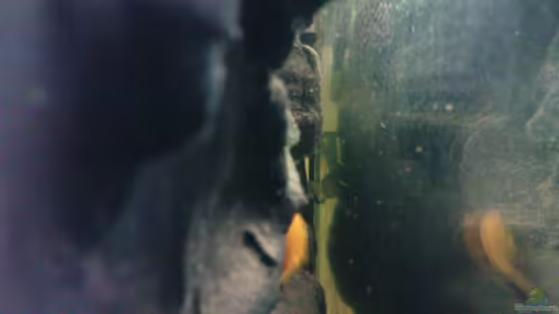 Hinter der Rückwand von Stgt.WEST (7)