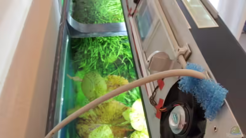 hintere Abdeckung mit Technik von c-th (20)