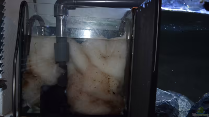 Hintere Filterkammer mit Pumpe und Filterwatte von Bowa (21)