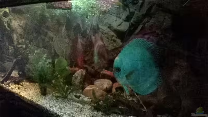 Hintergrund Felswandoptik 3D von Lars Ascher (35)