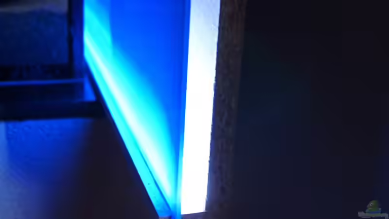 Hintergrundbeleuchtung - Detailansicht ohns Blende von Oeli (23)