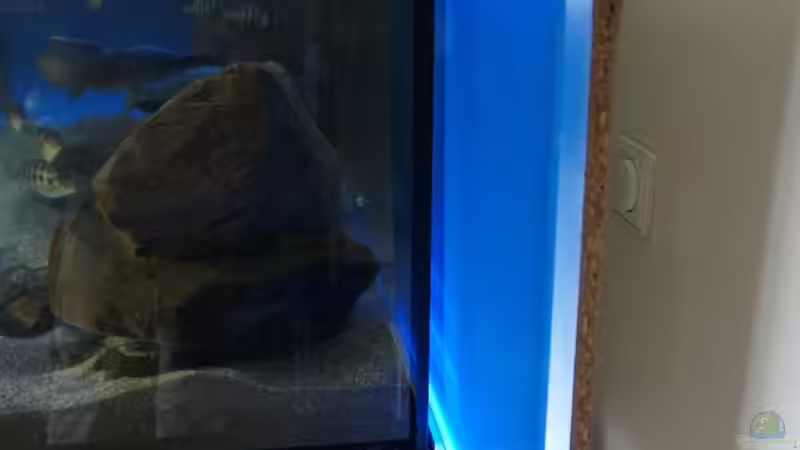 Hintergrundbeleuchtung - ohne Blende von Oeli (24)