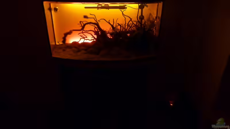 Hintergrundbeleuchtung Frontansicht von Martin W. (23)