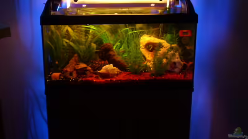 Hintergrundbeleuchtung von MMD (15)