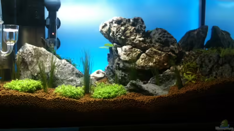 Hintergrundbeleuchtung von Sailfish (2)