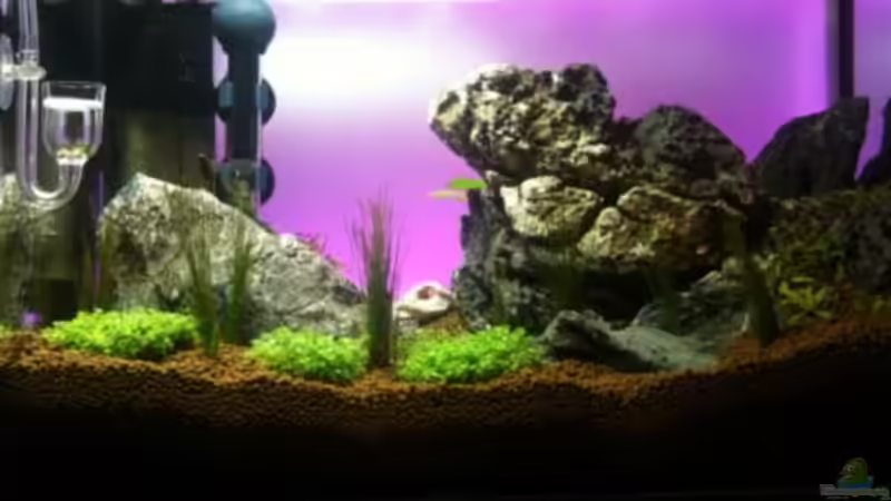 Hintergrundbeleuchtung von Sailfish (4)