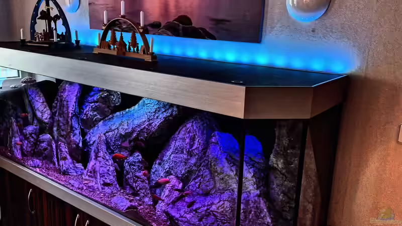 Hintergrundbeleuchtung von Sven Meyer (6)