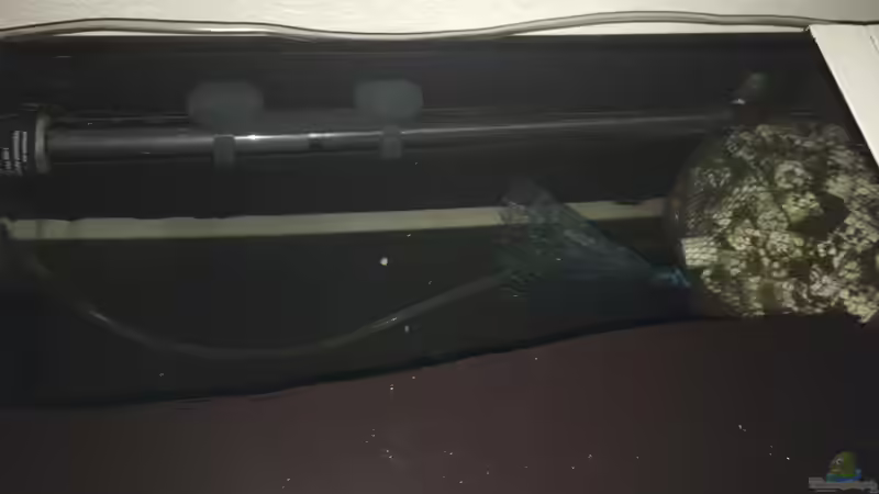 Hinterm Hmf 2 liter syporax + heizstab  von Malawi Appel (8)