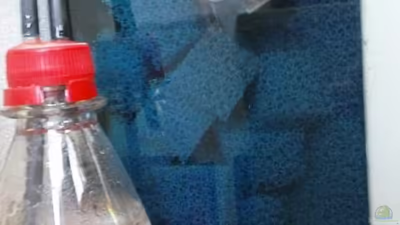 Hinterm HMF mit extra Filtermaterial von Zebraschneggla (15)