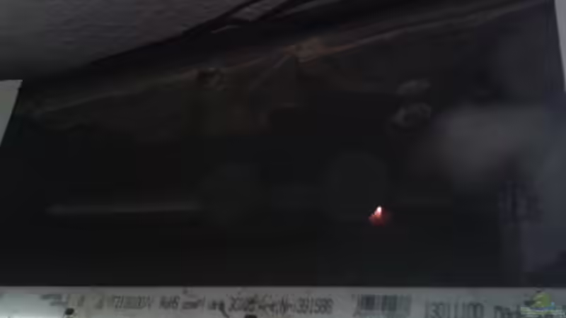 Hinterm Mattenfilter von Sasche Meier (2)