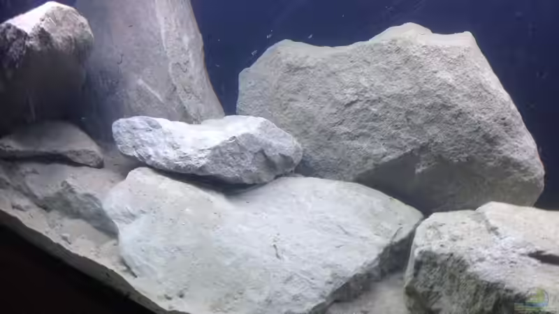 Hinterschwimmbare Rückwand von Swenni (11)