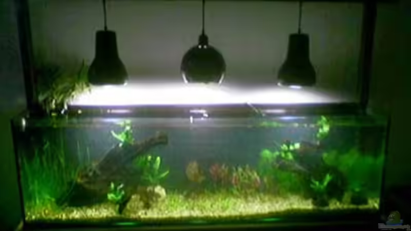 Historie: direkt nach der Einrichtung von koba2 (8)