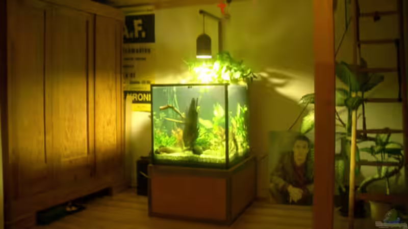 Historie: Ersteinrichtung von koba2 (11)