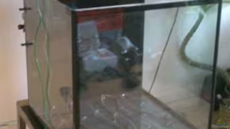 Historie: ´Trocken-Installation´ von koba2 (9)