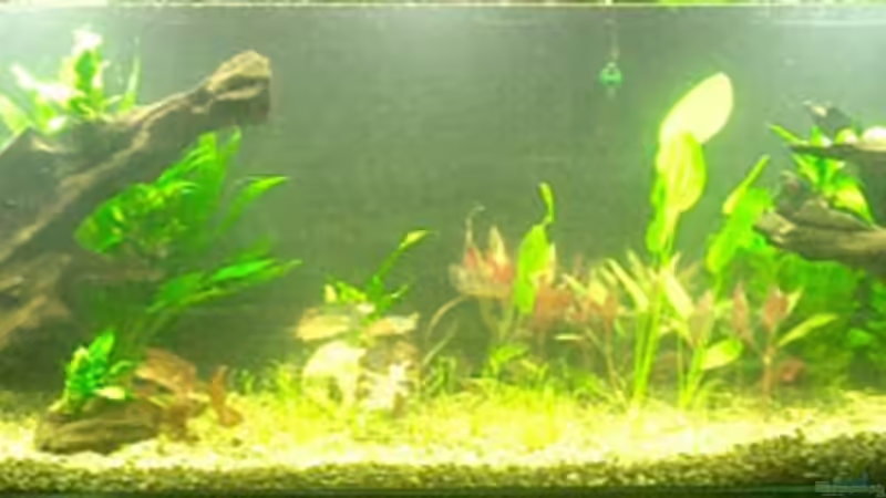 HIstorie: Vergleichsbilder - Start... von koba2 (9)