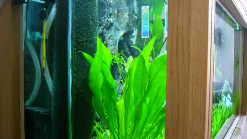 HM-Filter von Oliver Gursky (10)