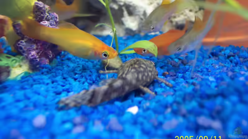 Hm,leeeccckkkeeerrrr*fresseerlie*  grins von Mandy Hopp und Kevin Rothfuß (6)