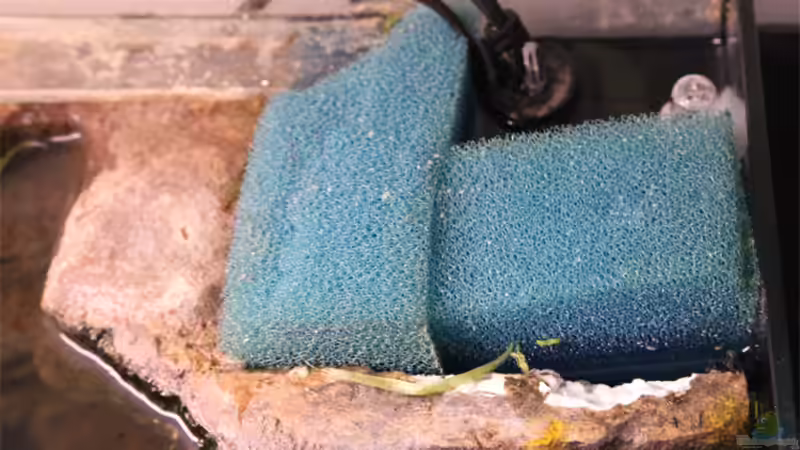 HMF + Heizer hinter der Rückwand von Maria Glas (10)