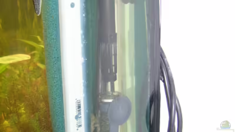 HMF ( Hamburger Mattenfilter) + Heizer+Ausströmer von Aqua-Flo (3)