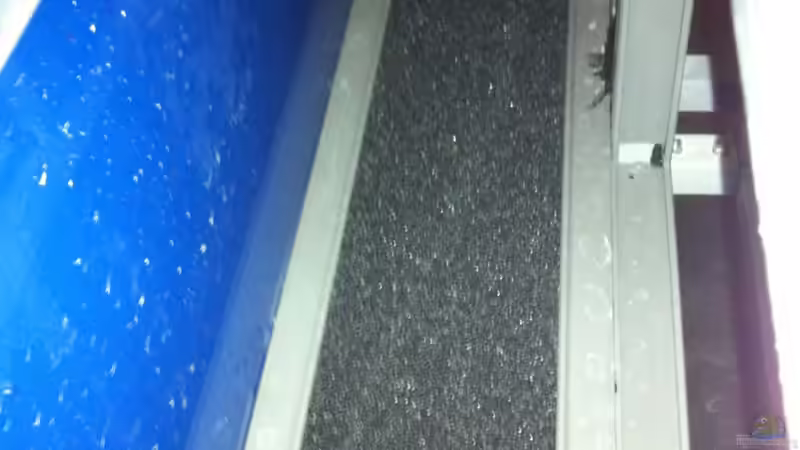 HMF  von Andriko (37)