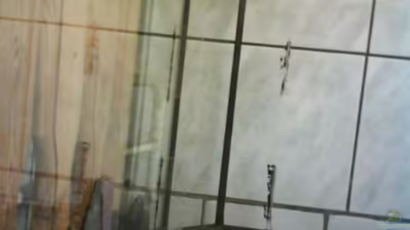 hmf anfang 1 von leutert1 (11)