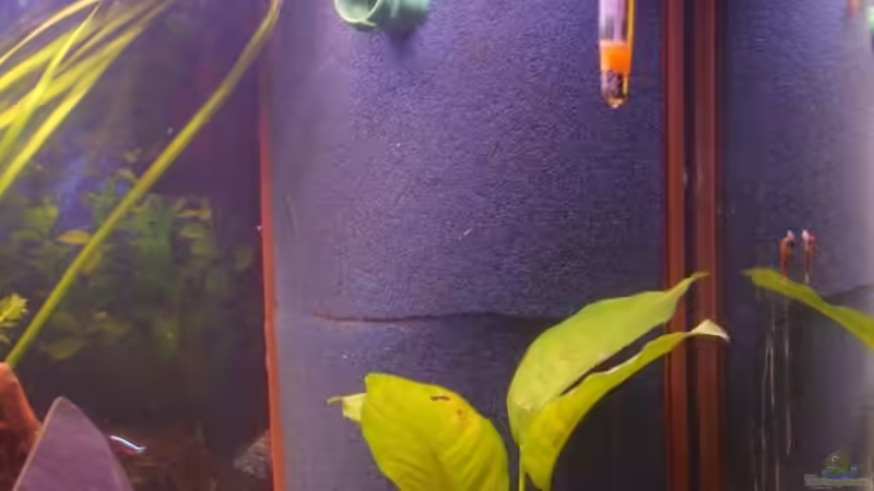 HMF Eckfilter von Schnuppi (3)