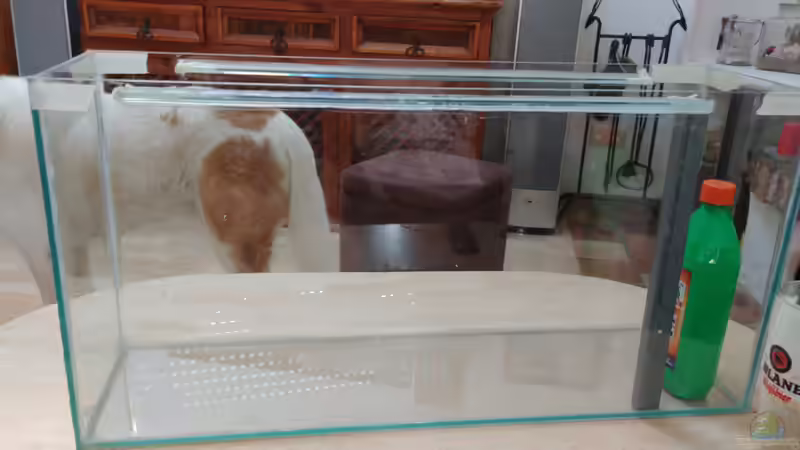 HMF einkleben  von Miss Kasimir (3)