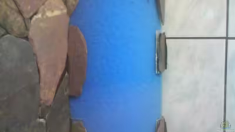 hmf fertig von leutert1 (13)