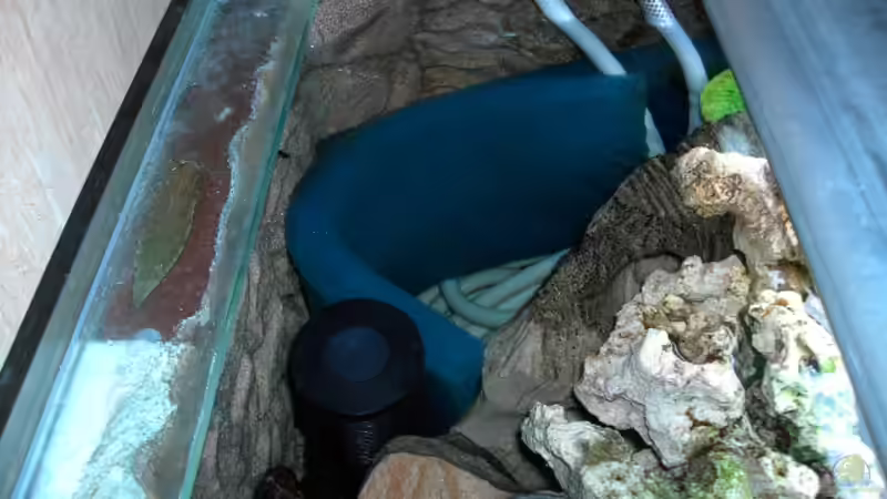 HMF filter mit Strömungspumpe von Heiko Schrandt (23)