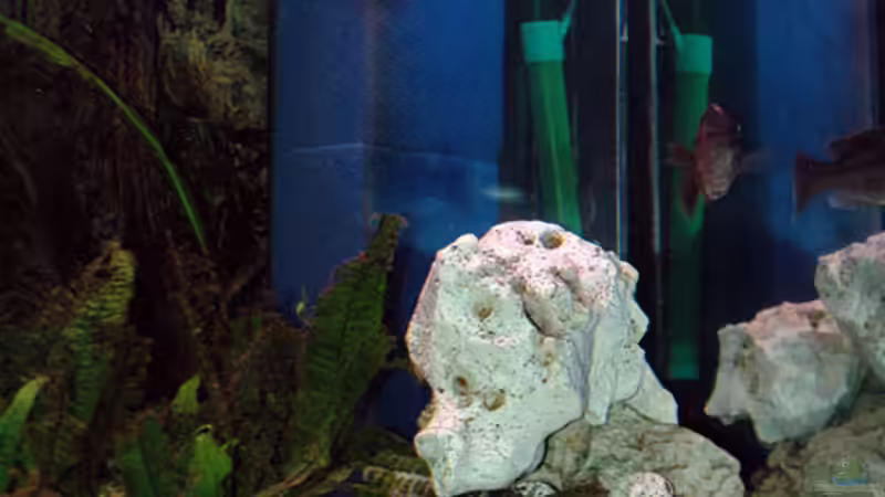 HMF Filter von Abdullah Özer (27)