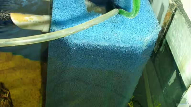 HMF für 500l von chrismalawifan (18)