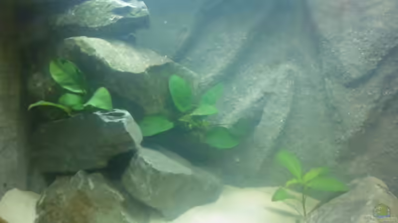 HMF gut verdeckt ;-) von Julien Preuß (5)