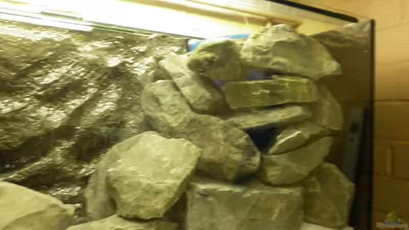 HMF gut verdeckt, sitz, wackelt und hat Luft :-D von Julien Preuß (34)