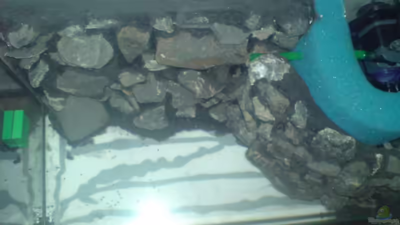 HMF hinter rausnehmbaren Wandmodul von Newbie (34)