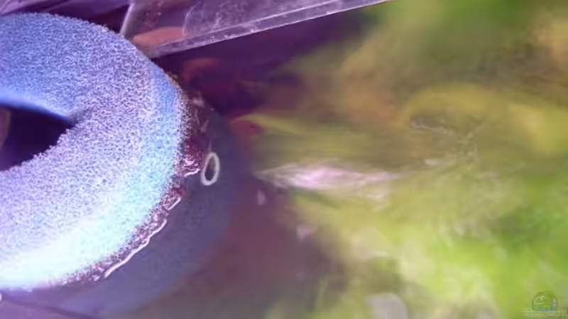 HMF in Betrieb von Patricia Brandt (4)