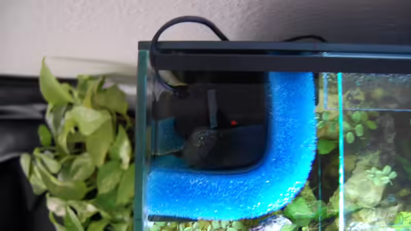 HMF in der linken Ecke, hier noch betrieben mit einer Mini-Zimmerbrunnenpumpe, mittlerweile jedoch ersetzt durch einen zuverlässigen Aquaball-Pumpenkopf von Berlin42 (49)