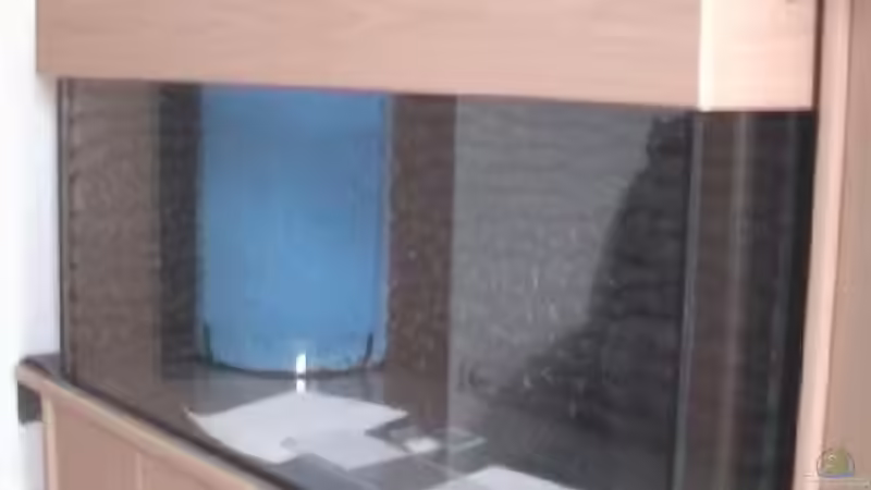 HMF kurz nach dem Einbau von rasrol (10)