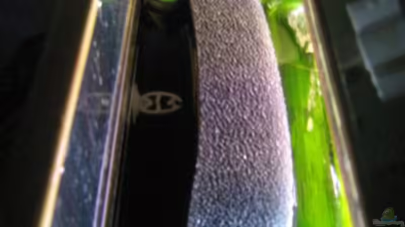 HMF linke Seitenscheibe von Dirk Meißner (12)